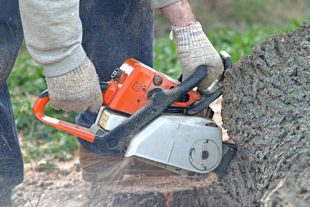 Best Lawn Mowing  in Mayfield, KY